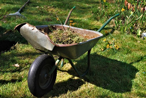 Tools for Gardening Are Crucial to Any Gardener’s Efforts! – Paul Formica