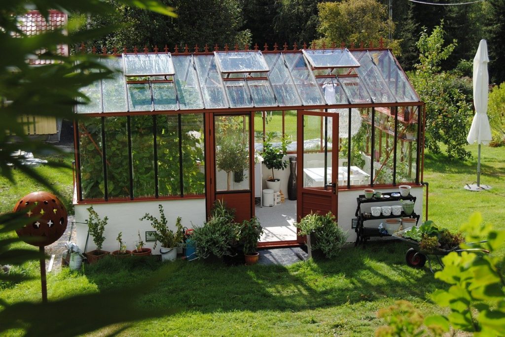 How to Set Up a Greenhouse – The Simple Steps You Must Take Care of ...